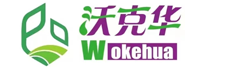 天下彩水果奶奶|天下彩票水果奶奶|天空彩票水果奶奶